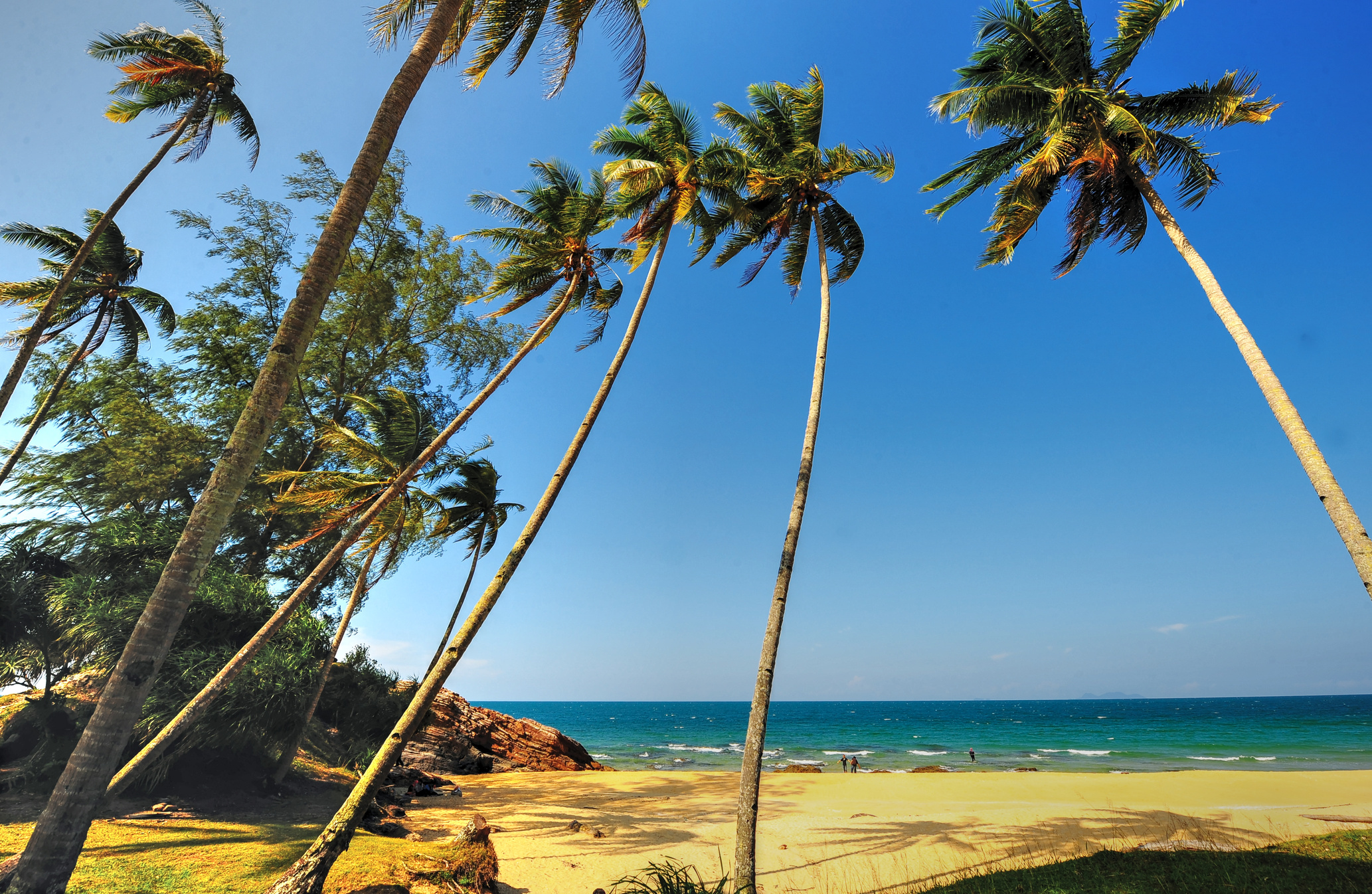 Rantau Abang Beach, Terengganu